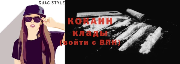 стаф Алзамай
