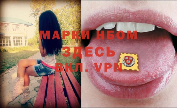 стаф Алзамай