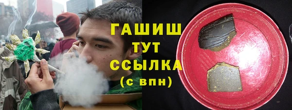 стаф Алзамай