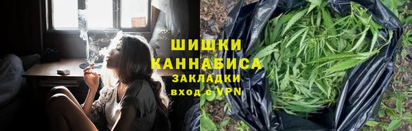 индика Абдулино