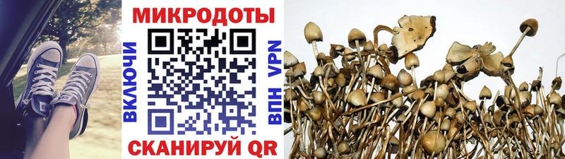 Галлюциногенные грибы Cubensis наркотики Архангельск